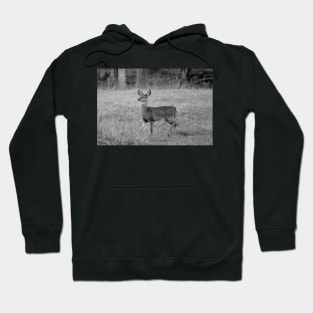 Young Deer Hoodie